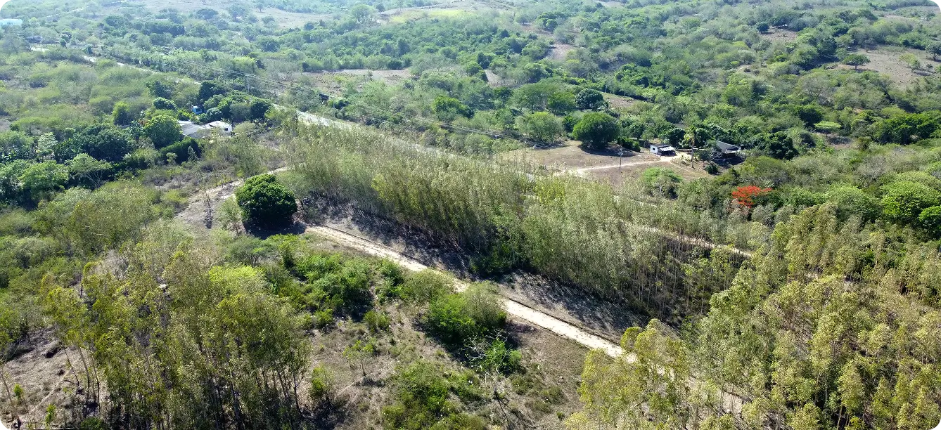 Condominio campestre cerca de Barranquilla, con lotes amplios, conexión regional y acceso a destinos turísticos del Atlántico