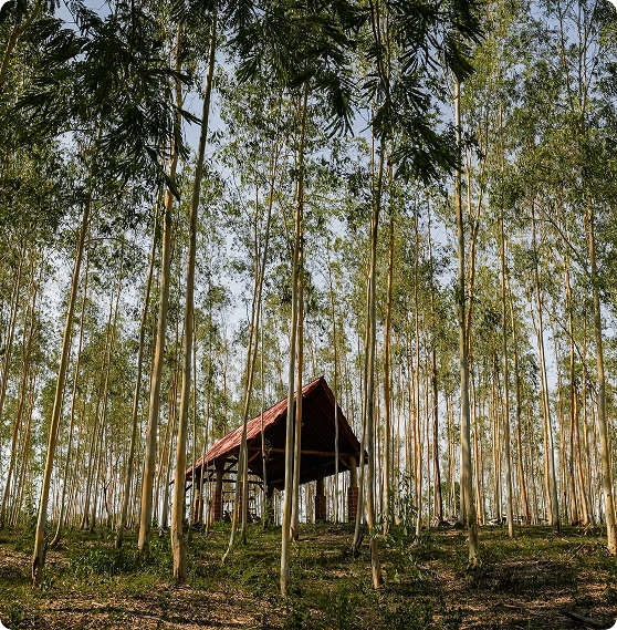 Desarrollo campestre en Baranoa integrado al paisaje natural, con amplias zonas verdes y espacios pensados para una vida más tranquila