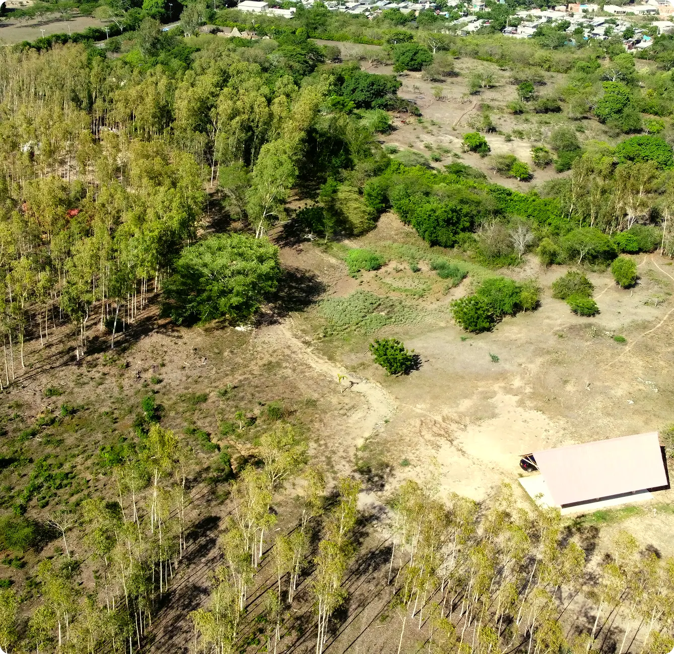 Inversión en lotes campestres en Bosques de Eucalipto, un entorno privado que integra naturaleza, bienestar y conectividad