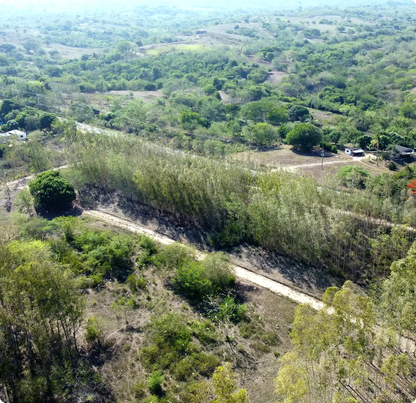 Proyecto de lotes campestres cerca de Barranquilla y las playas del Atlántico, con fácil acceso desde Baranoa