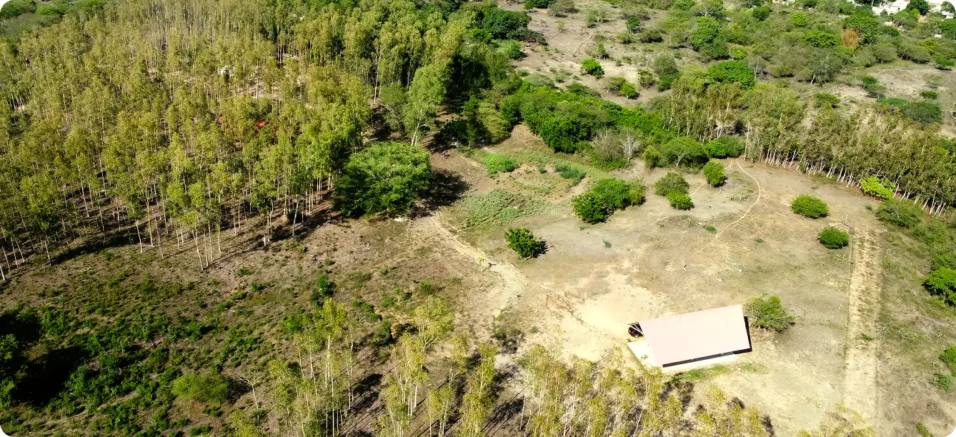 Proyecto campestre en el Atlántico rodeado de naturaleza, zonas verdes y espacios pensados para disfrutar la vida al aire libre